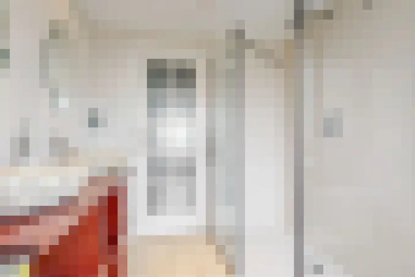 Boschjesstraat 69 Koog aan de Zaan thumbnail 12