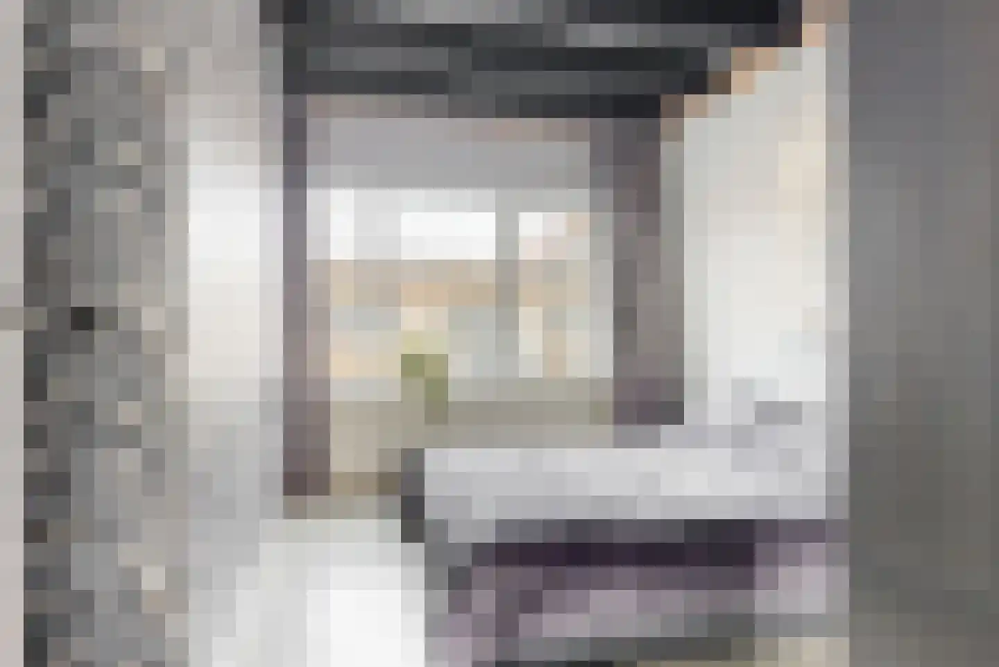 Boschjesstraat 69 Koog aan de Zaan thumbnail 16