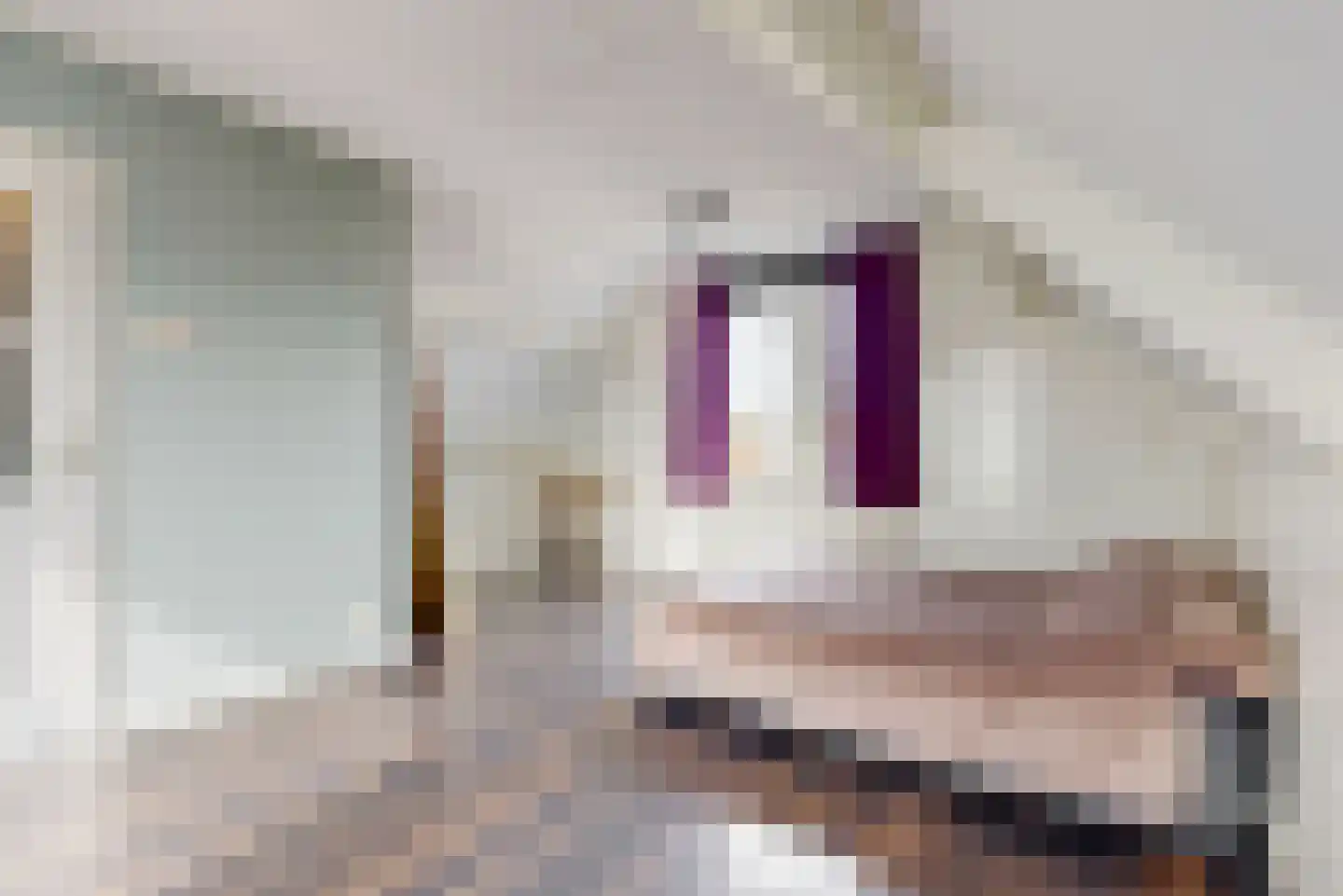 Boschjesstraat 69 Koog aan de Zaan thumbnail 21