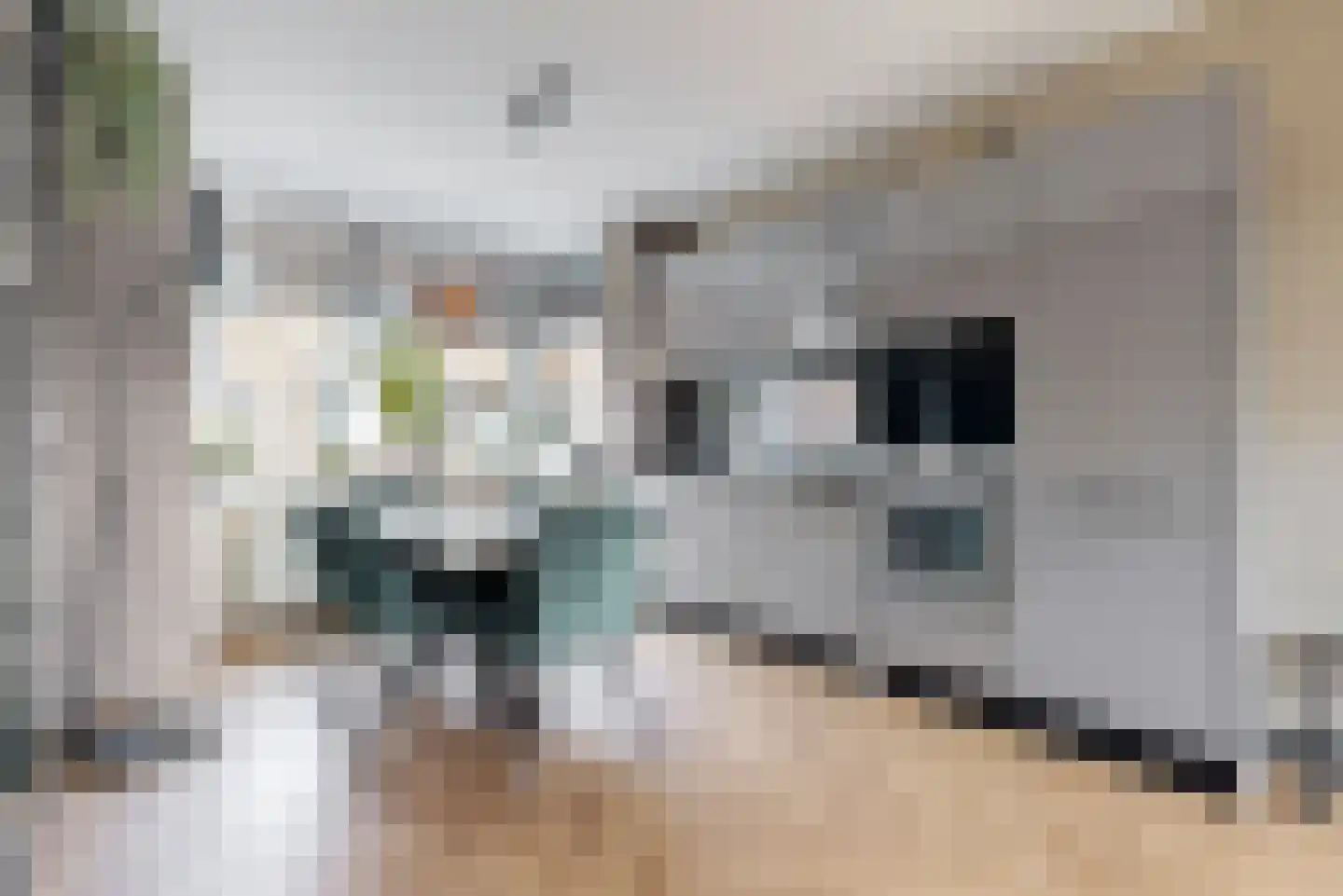 Boschjesstraat 69 Koog aan de Zaan thumbnail 4