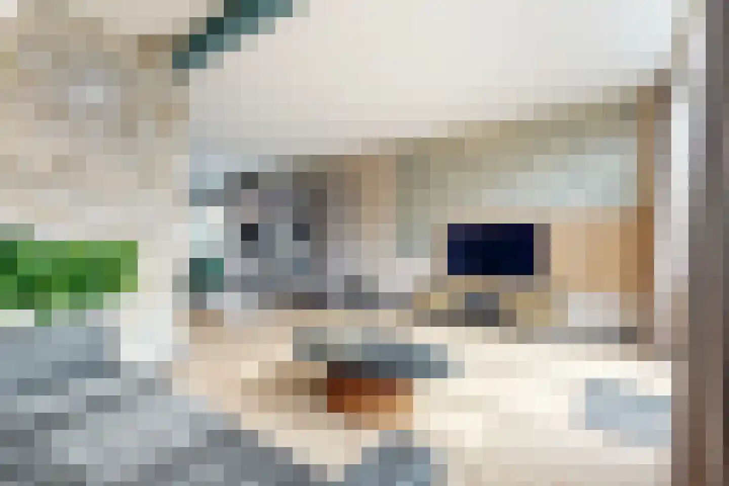 Boschjesstraat 69 Koog aan de Zaan thumbnail 6
