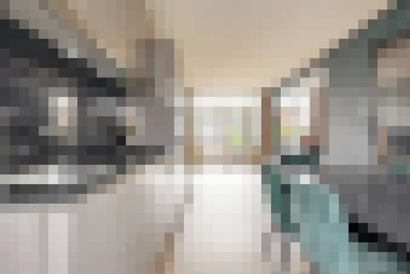 Boschjesstraat 69 Koog aan de Zaan thumbnail 9