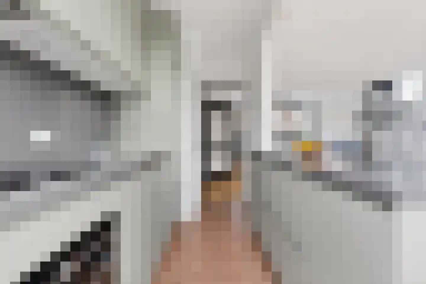 Boschjesstraat 75 Koog aan de Zaan thumbnail 15