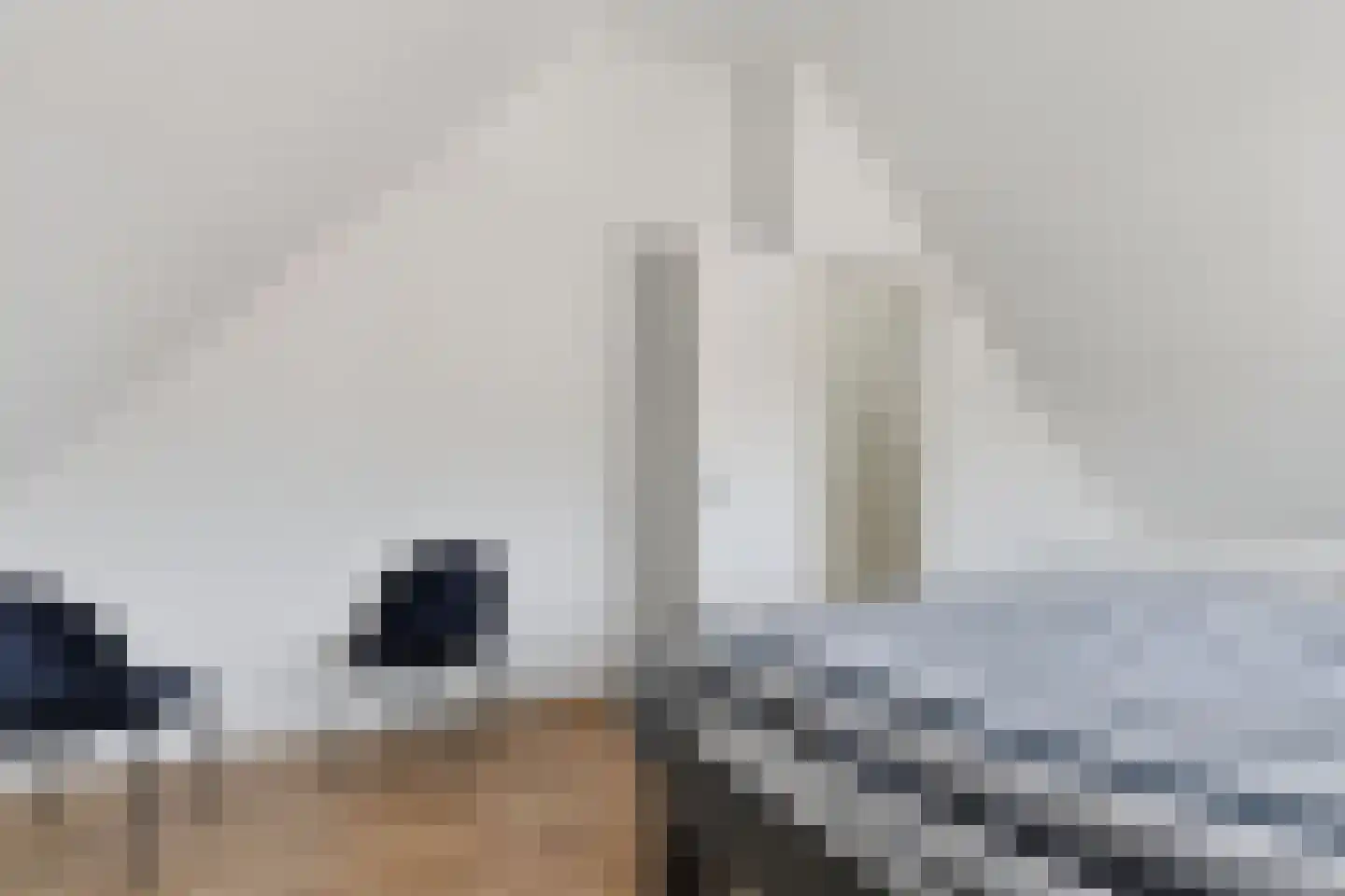 Boschjesstraat 75 Koog aan de Zaan thumbnail 29