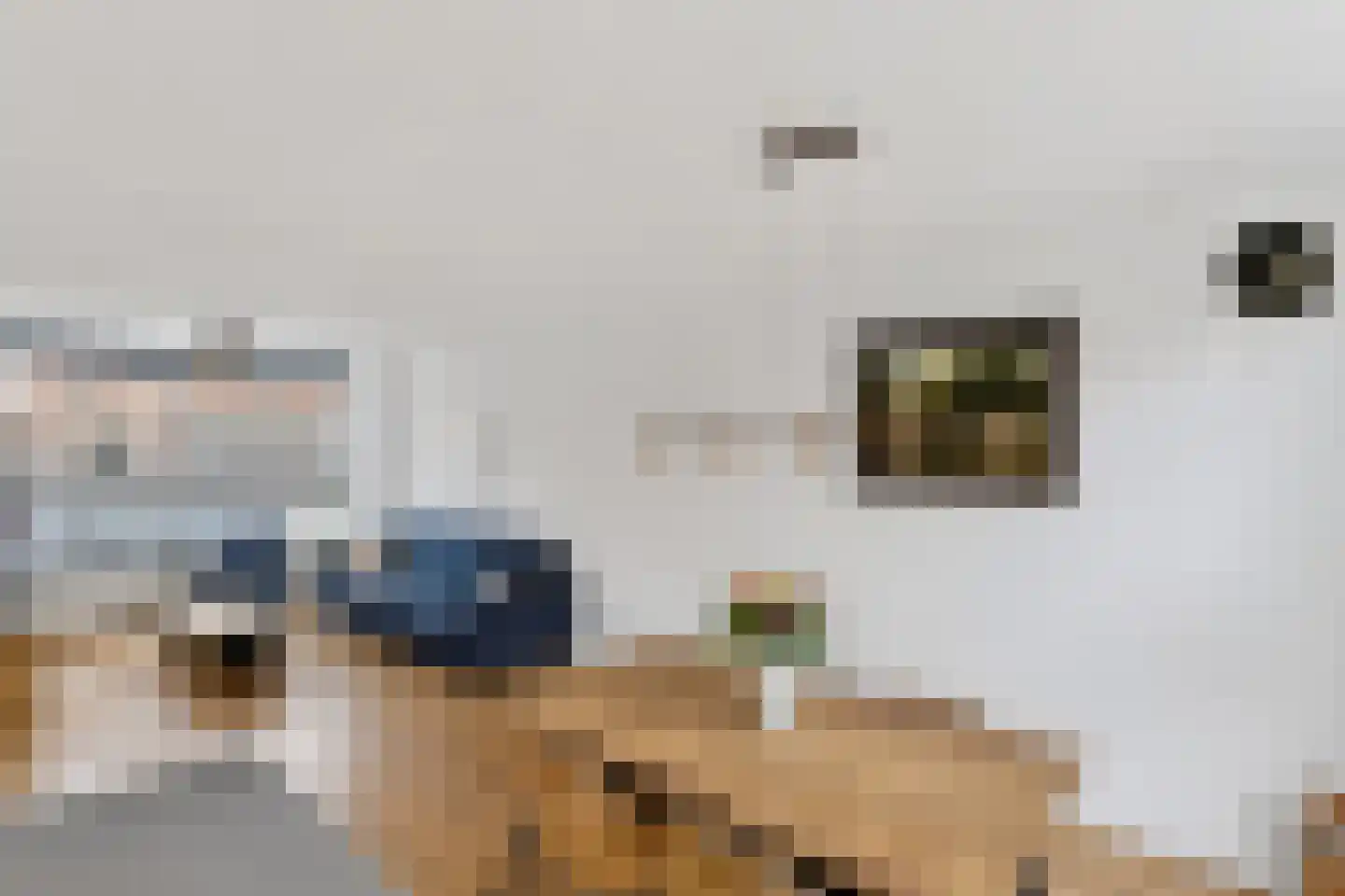 Boschjesstraat 75 Koog aan de Zaan thumbnail 8