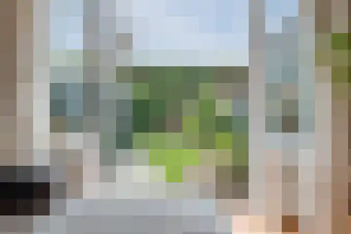 Boschjesstraat 95 Koog aan de Zaan thumbnail 11