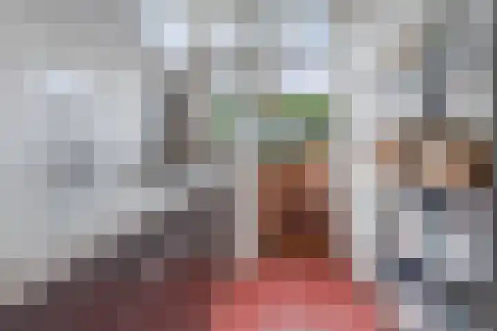Boschjesstraat 95 Koog aan de Zaan thumbnail 15