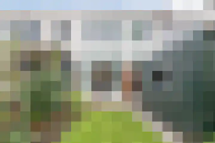 Boschjesstraat 95 Koog aan de Zaan thumbnail 28