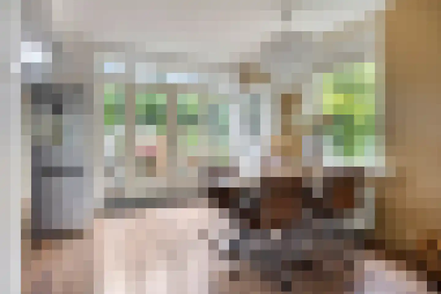 Boschjesstraat 99 Koog aan de Zaan thumbnail 10