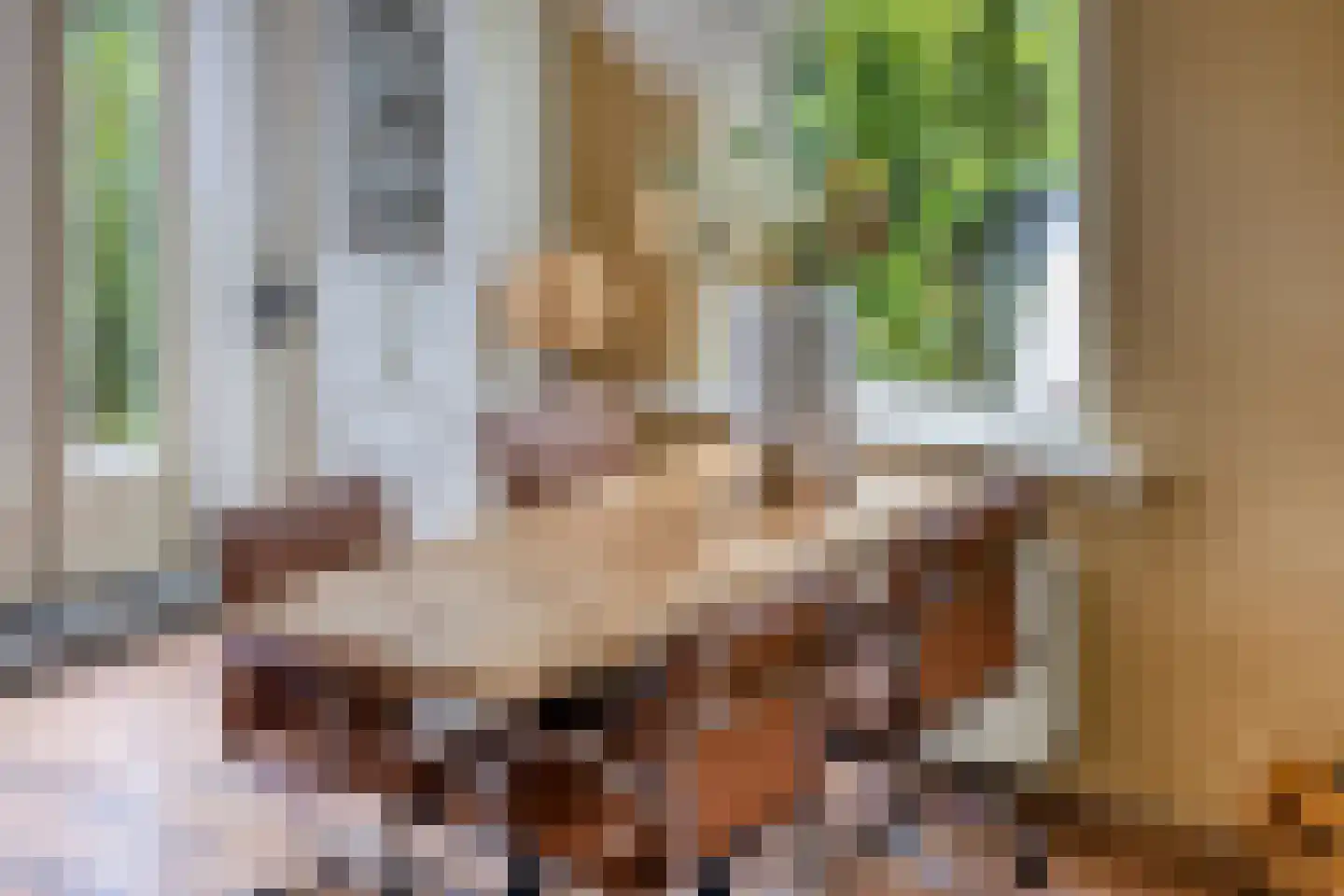 Boschjesstraat 99 Koog aan de Zaan thumbnail 12