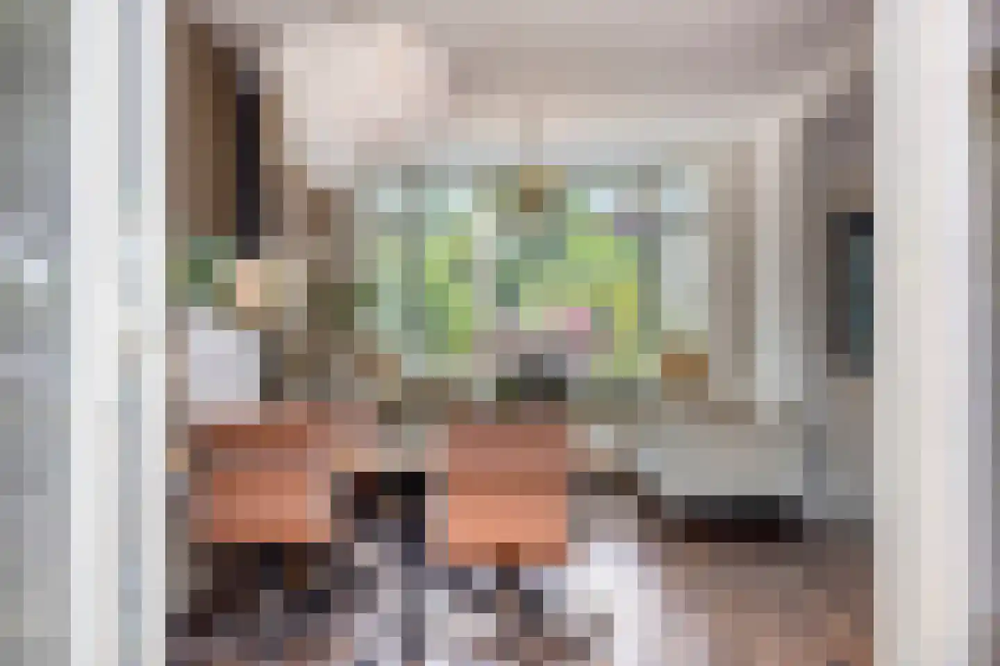 Boschjesstraat 99 Koog aan de Zaan thumbnail 13