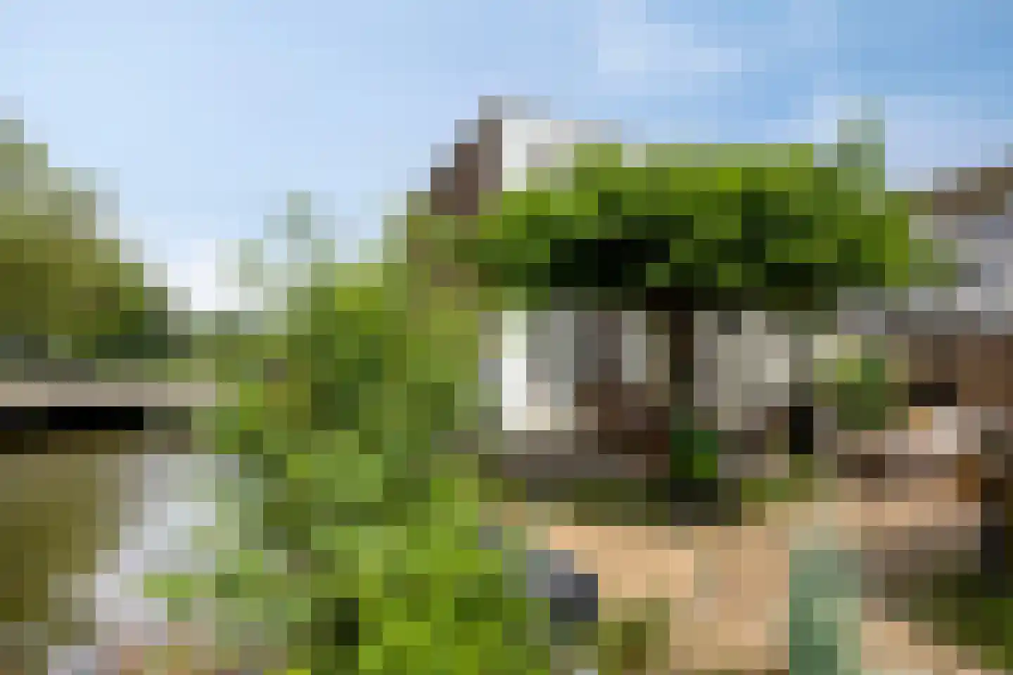 Boschjesstraat 99 Koog aan de Zaan thumbnail 31