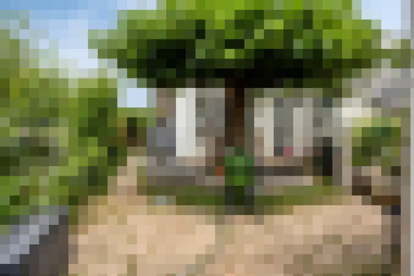 Boschjesstraat 99 Koog aan de Zaan thumbnail 32