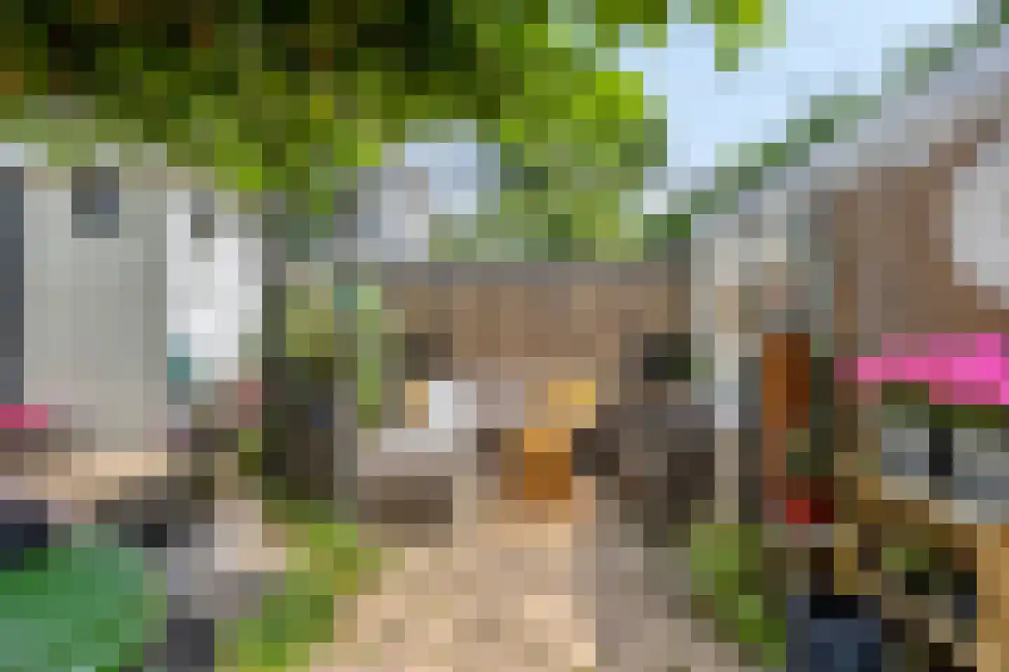 Boschjesstraat 99 Koog aan de Zaan thumbnail 35
