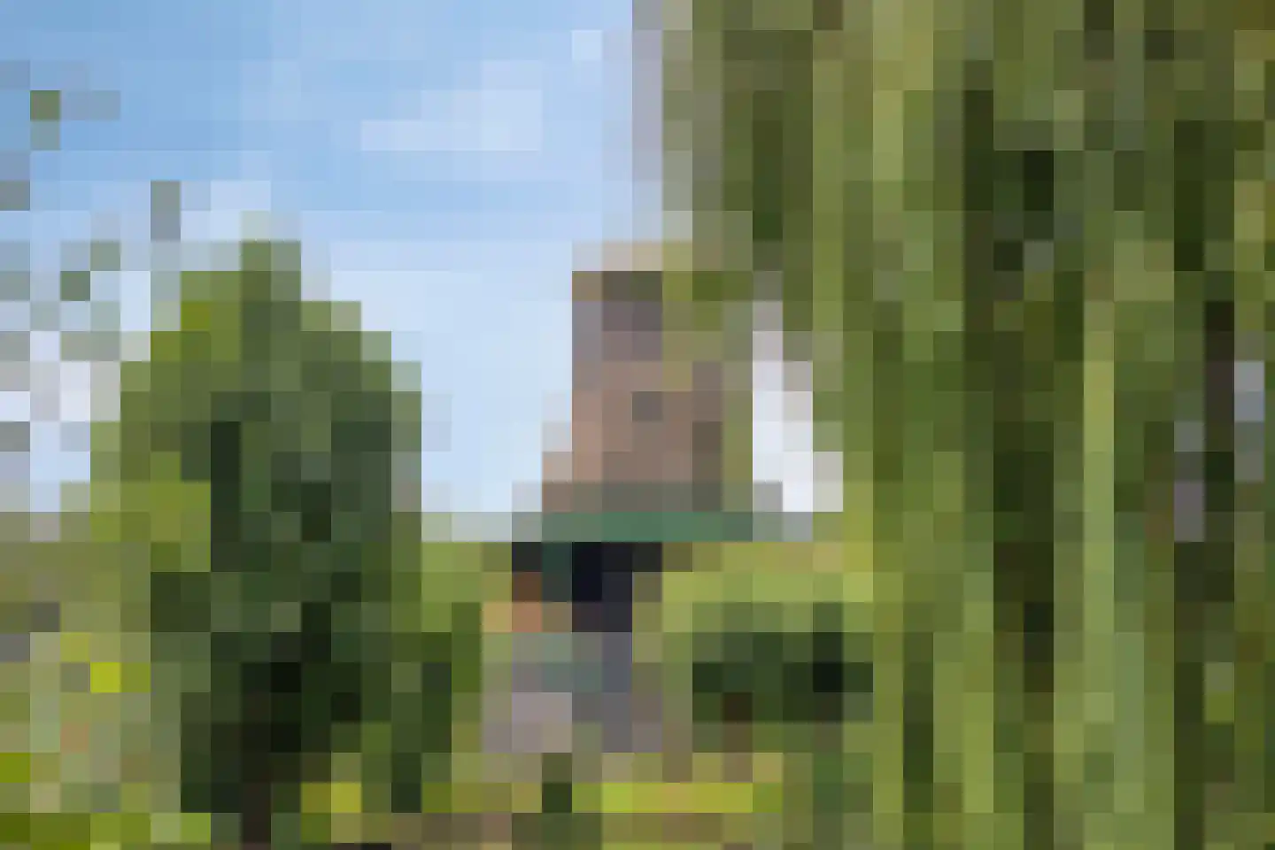 Boschjesstraat 99 Koog aan de Zaan thumbnail 38