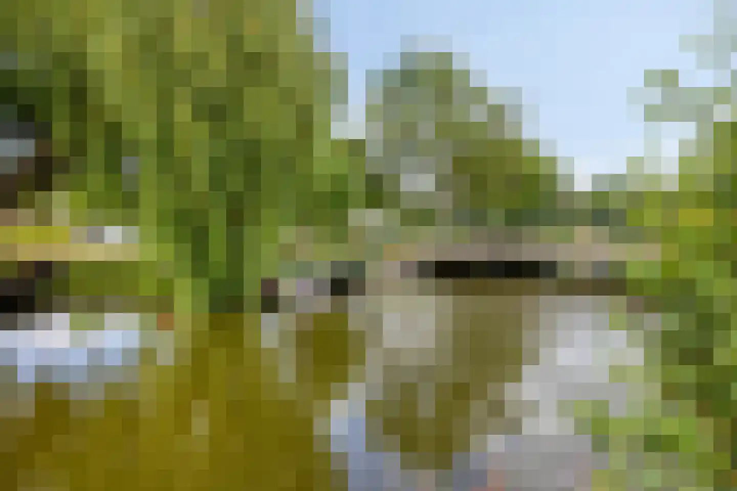 Boschjesstraat 99 Koog aan de Zaan thumbnail 40