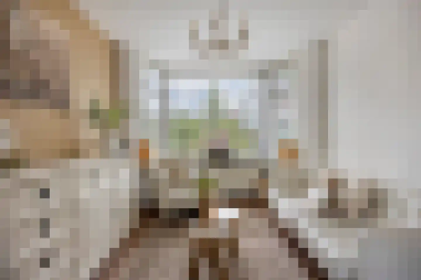 Boschjesstraat 99 Koog aan de Zaan thumbnail 5