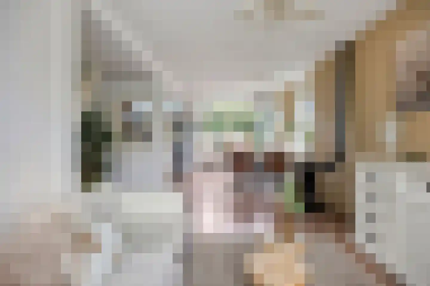Boschjesstraat 99 Koog aan de Zaan thumbnail 6