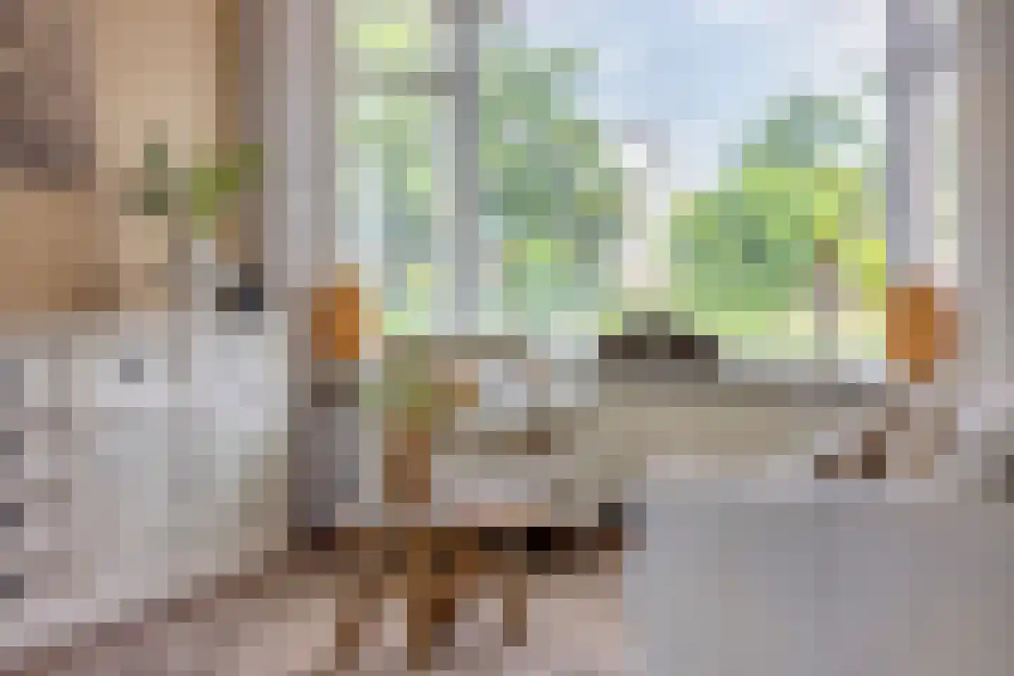 Boschjesstraat 99 Koog aan de Zaan thumbnail 8