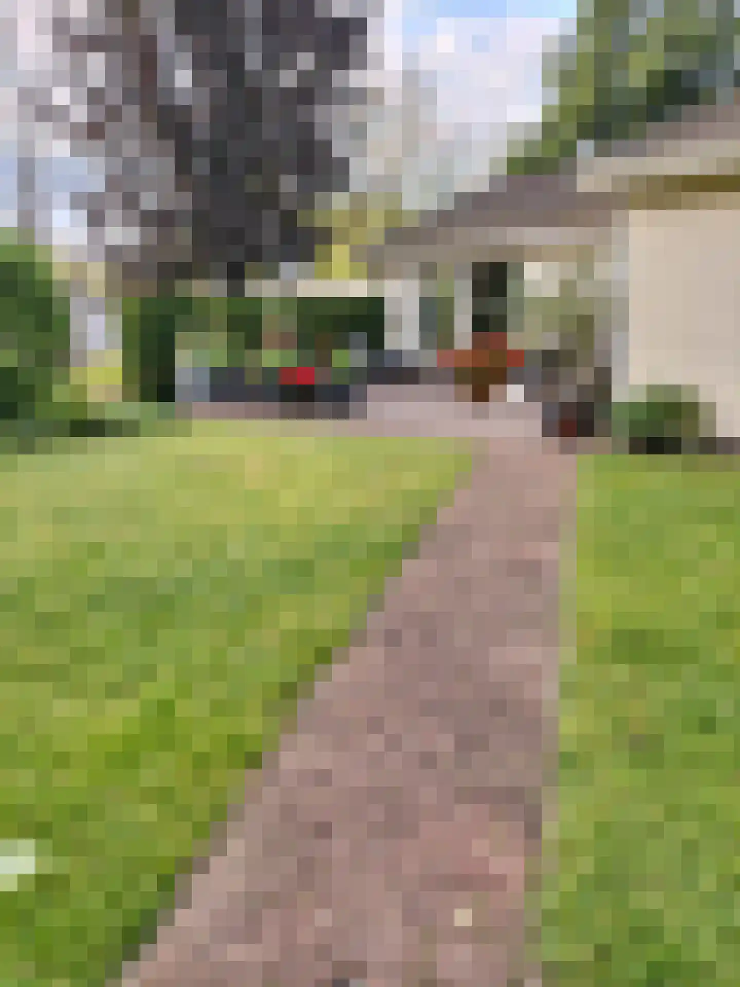 Boschlaan 26 05 Lichtenvoorde thumbnail 22
