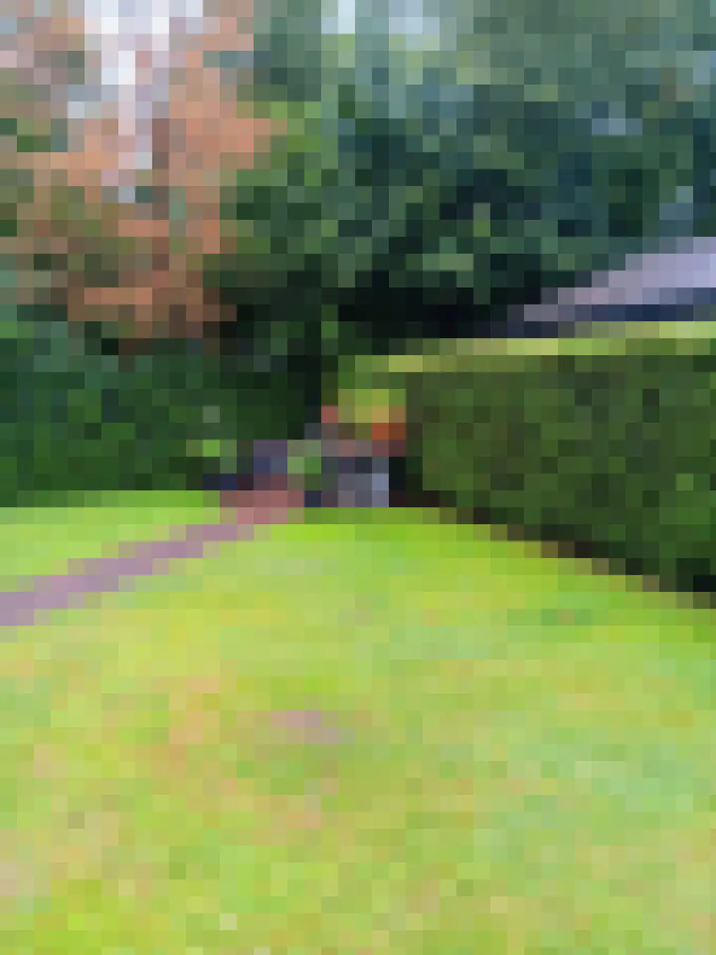Boschlaan 26 05 Lichtenvoorde thumbnail 24