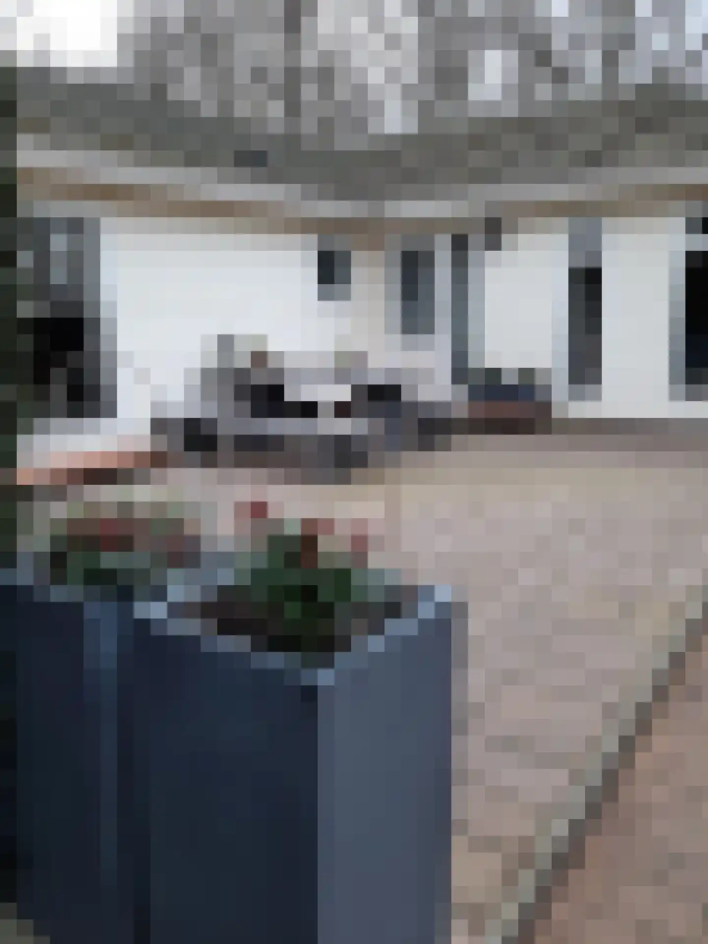 Boschlaan 26 05 Lichtenvoorde thumbnail 25
