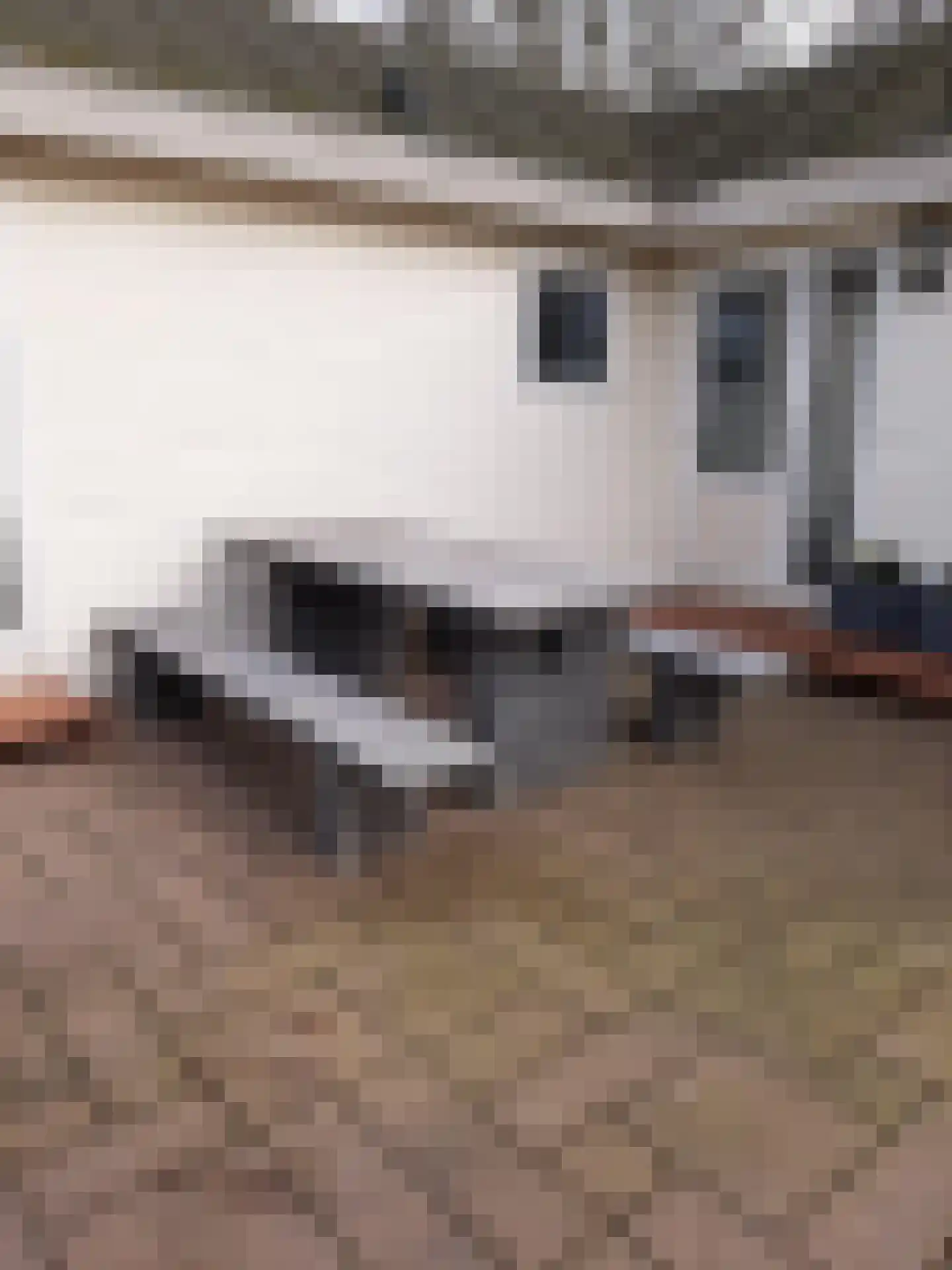 Boschlaan 26 05 Lichtenvoorde thumbnail 26