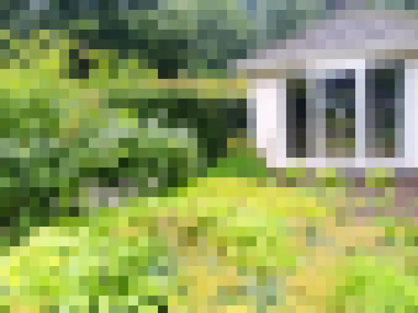 Boschlaan 26 05 Lichtenvoorde thumbnail 28