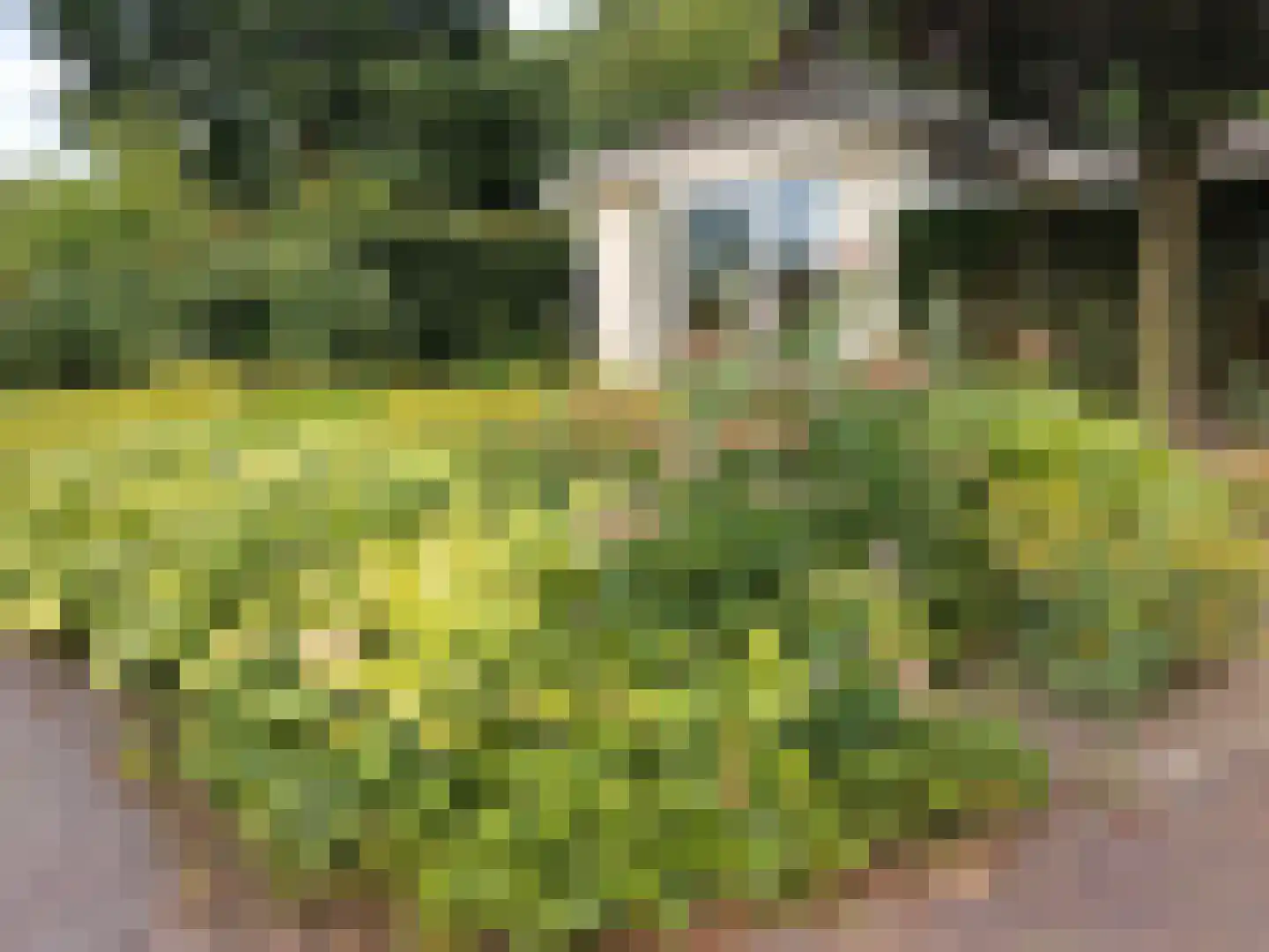 Boschlaan 26 05 Lichtenvoorde thumbnail 29
