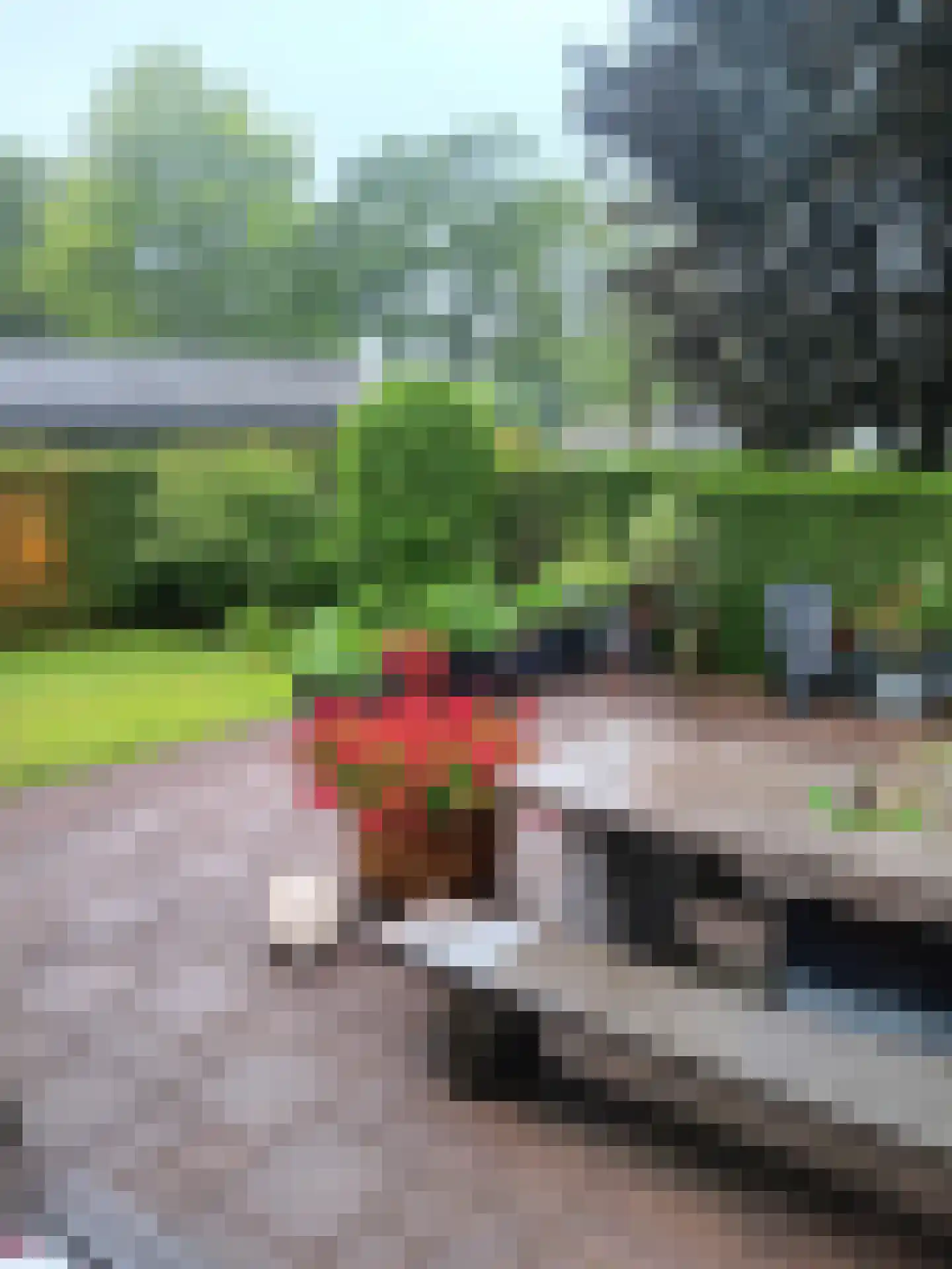 Boschlaan 26 05 Lichtenvoorde foto 3