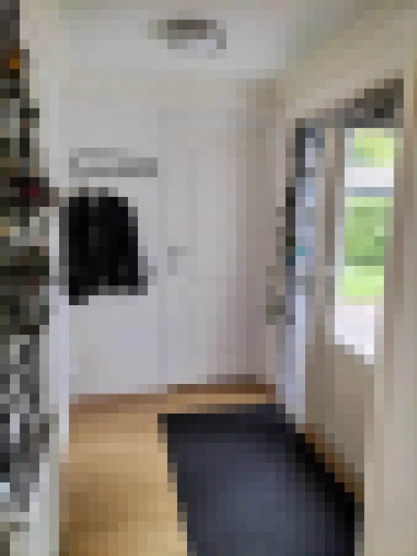 Boschlaan 26 05 Lichtenvoorde thumbnail 5