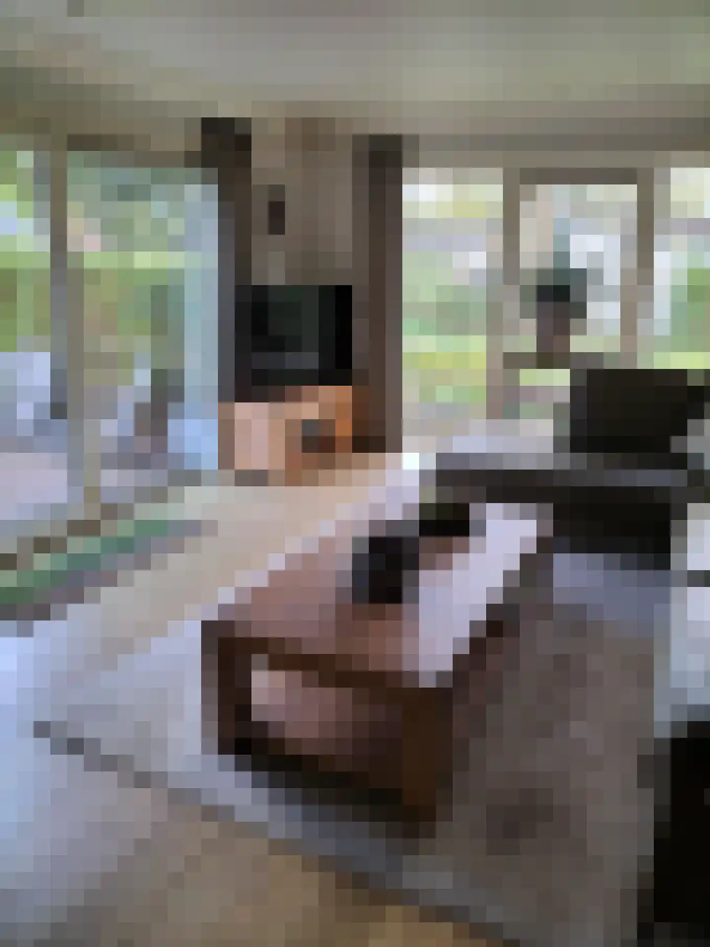Boschlaan 26 05 Lichtenvoorde thumbnail 6
