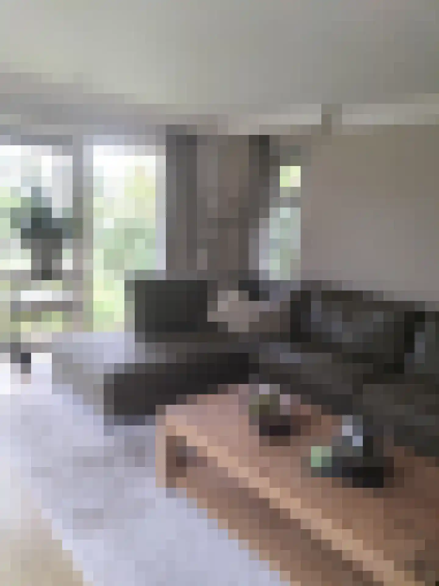 Boschlaan 26 05 Lichtenvoorde thumbnail 8