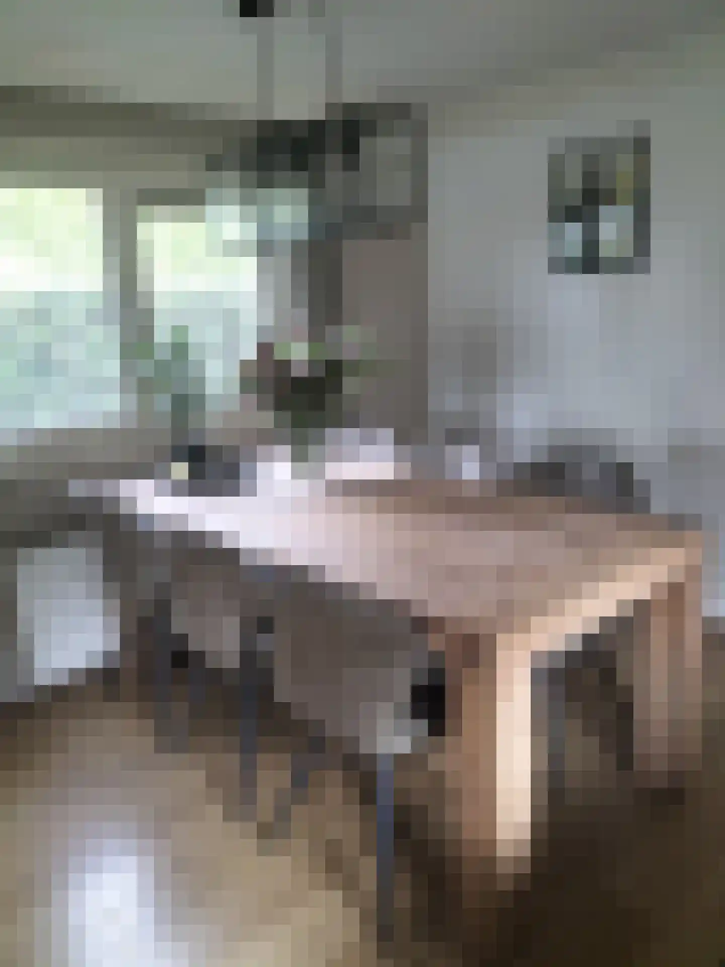 Boschlaan 26 05 Lichtenvoorde thumbnail 9