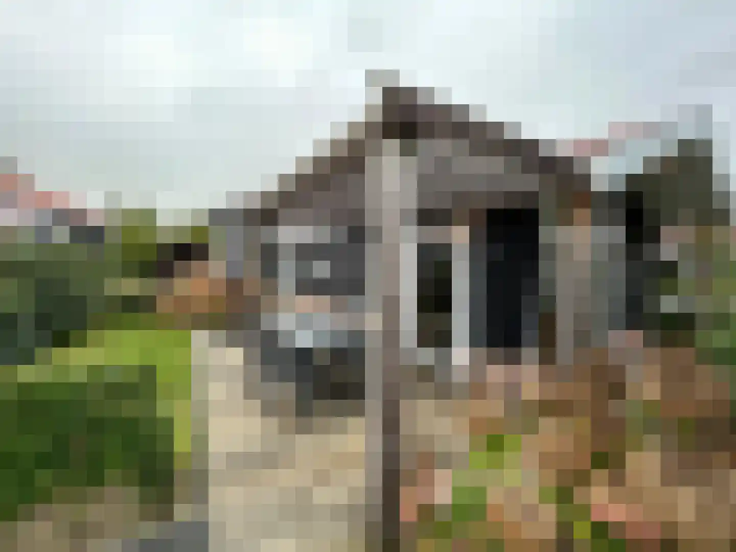 Boschlaan 26 111 Lichtenvoorde