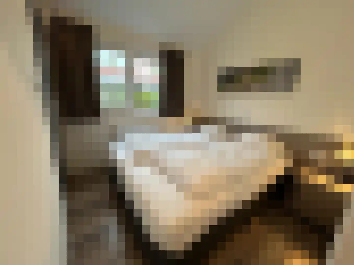 Boschlaan 26 111 Lichtenvoorde thumbnail 19