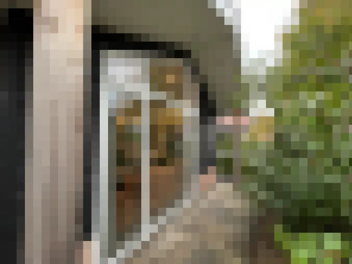 Boschlaan 26 111 Lichtenvoorde thumbnail 22