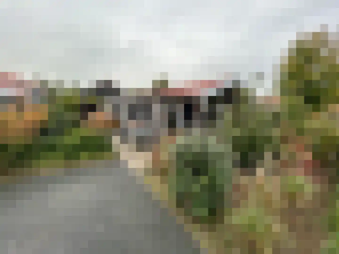 Boschlaan 26 111 Lichtenvoorde thumbnail 29