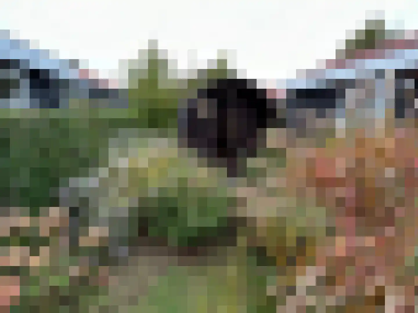 Boschlaan 26 111 Lichtenvoorde thumbnail 30