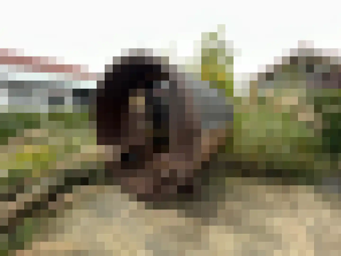 Boschlaan 26 111 Lichtenvoorde thumbnail 32