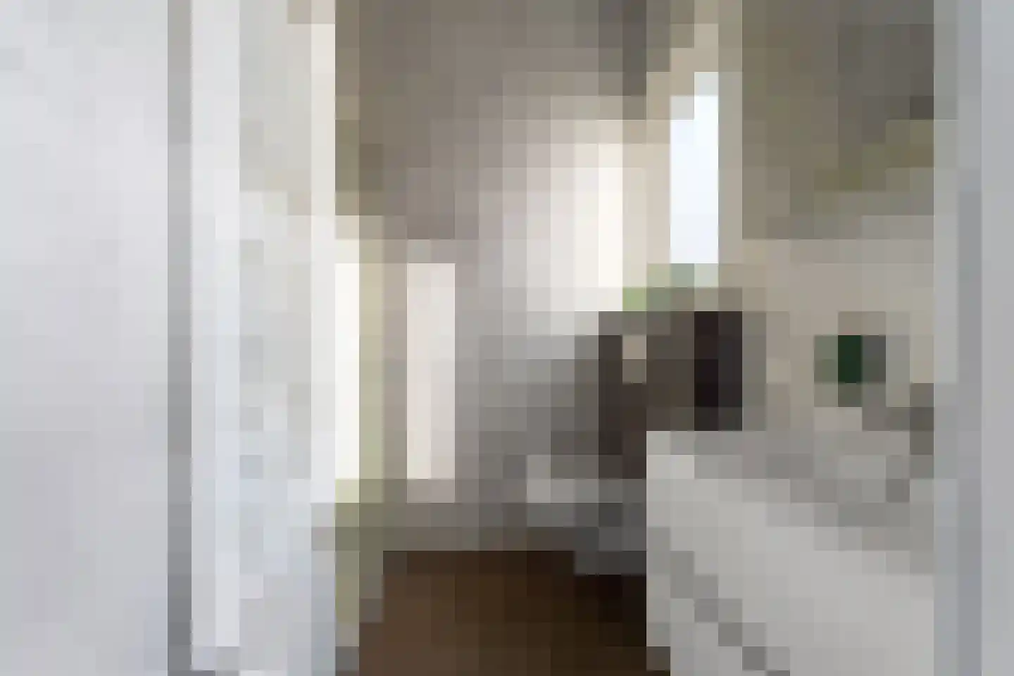 Boschlaan 26 160 Lichtenvoorde thumbnail 18