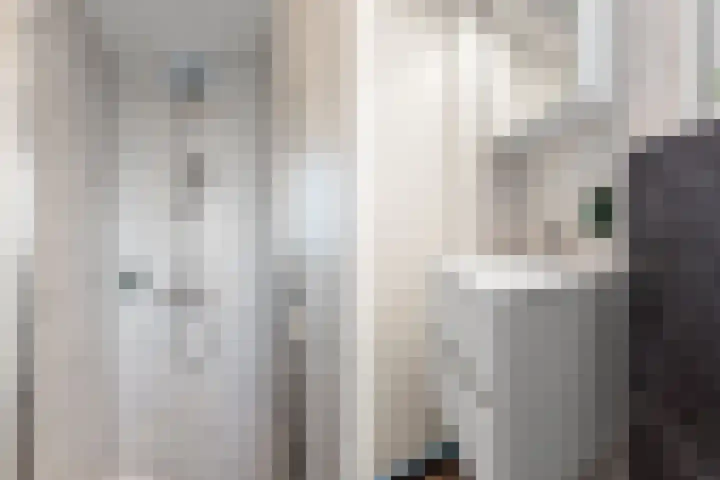Boschlaan 26 160 Lichtenvoorde thumbnail 19