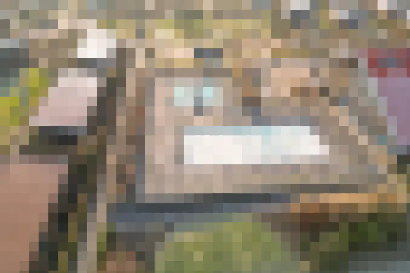 Boschlaan 26 160 Lichtenvoorde thumbnail 33
