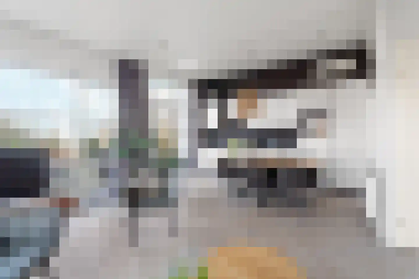 Boschlaan 26 160 Lichtenvoorde thumbnail 6