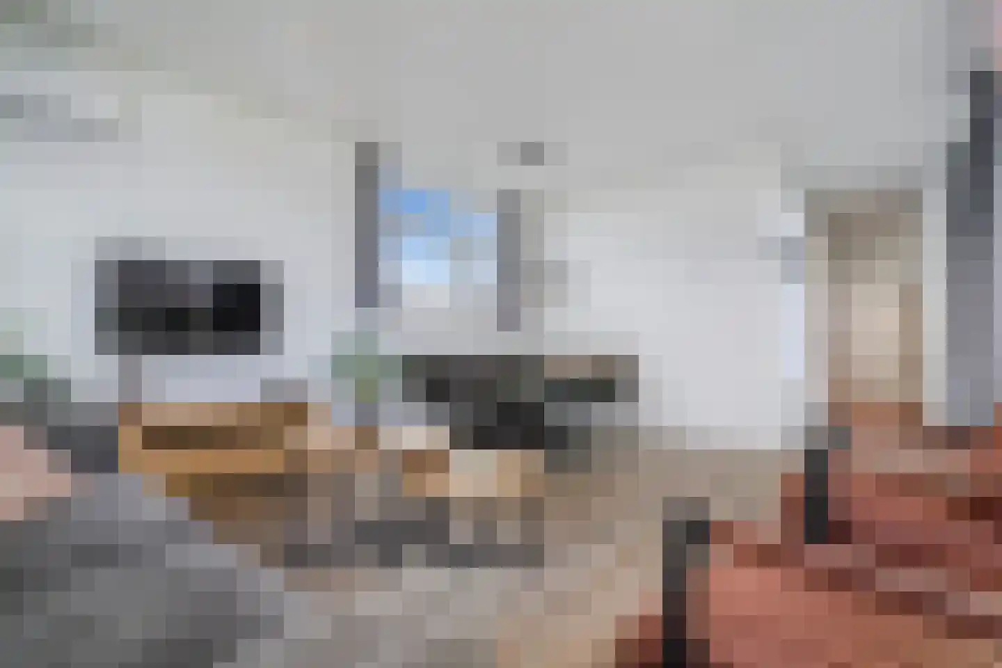 Boschlaan 26 164 Lichtenvoorde thumbnail 5