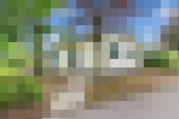Boschlaan 26 25 Lichtenvoorde thumbnail 21