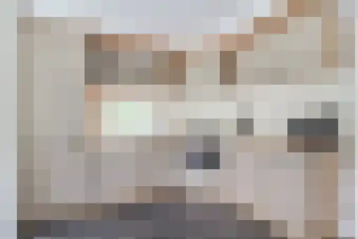 Boschlaan 26 25 Lichtenvoorde thumbnail 7