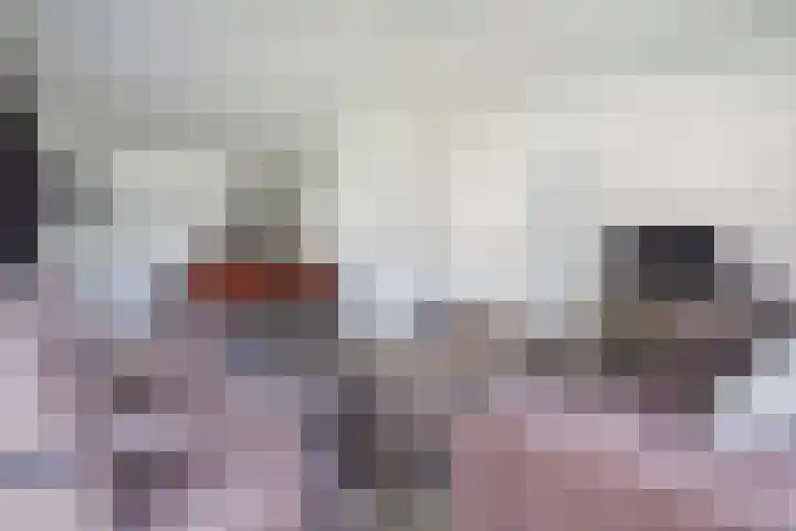 Boschlaan 26 37 Lichtenvoorde thumbnail 12