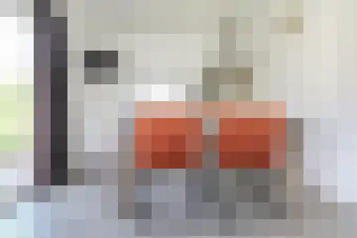 Boschlaan 26 37 Lichtenvoorde thumbnail 13