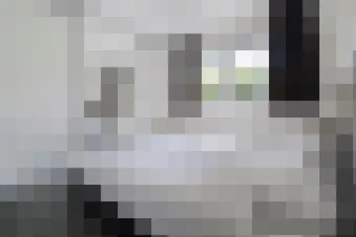 Boschlaan 26 37 Lichtenvoorde thumbnail 16